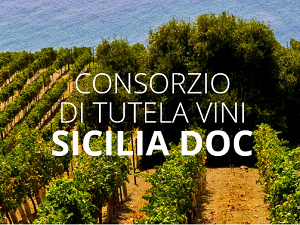 50 milioni di Doc Sicilia nel 2018