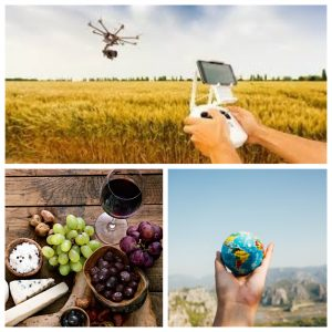 Un laboratorio per l’innovazione nell’agribusiness