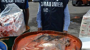 Salerno, sequestrata una partita di passata di pomodoro