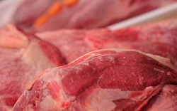 Eurocarne e Fieragricola, insieme per il rilancio delle filiere