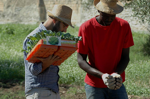 Le iniziative ASeS, Cia-Agricoltori italiani e Forum nazionale agricoltura sociale