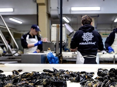 Cozze Niedditas in resina compostabile