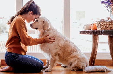 Petfood sempre alla ribalta