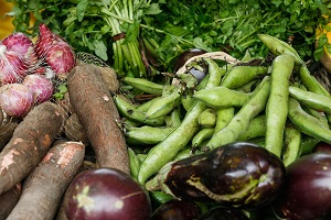 Il bio cresce in tutti i canali