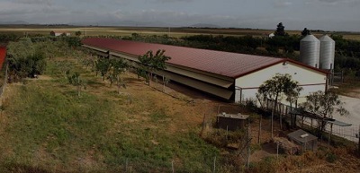 Amadori rinnova la partnership con MasterChef Italia