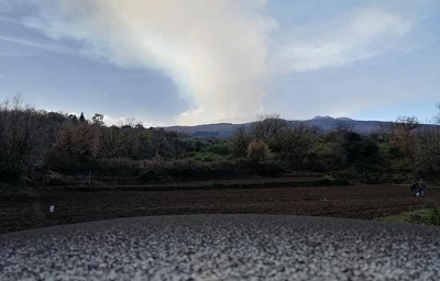 Etna: dalla cenere danni a piante e fiori