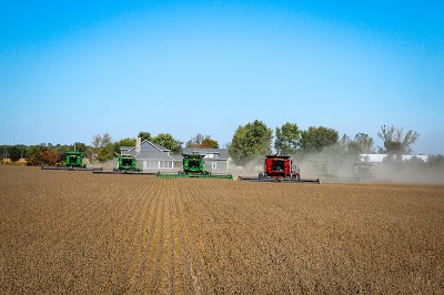 Intesa Sanpaolo: nasce la Direzione Agribusiness