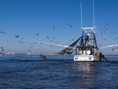 Verso un modello di pesca responsabile