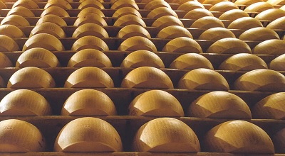 Un Parmigiano Reggiano con meno sale è possibile?