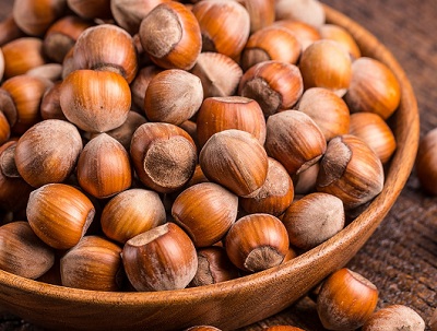 Nocciole, scoperta una proteina che causa una delle più comuni allergie