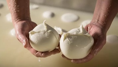 Mozzarella Dop, via al nuovo corso per diventare casari