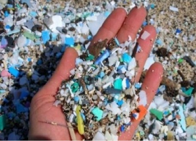 Microplastiche e cibo: effetti deleteri sulle cellule umane