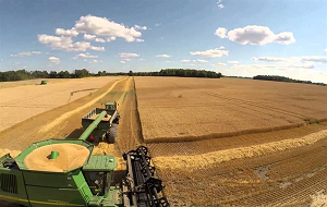 Nasce il Distretto della filiera cerealicola lombarda