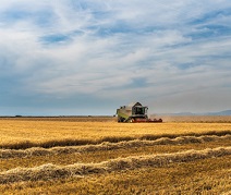 Unigrains apre a Milano la filiale italiana