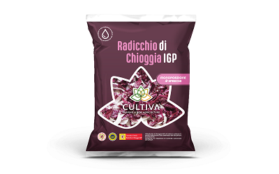 Cultiva, ritorna il Radicchio IGP di Chioggia