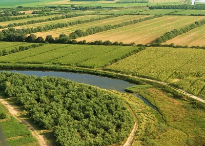 Purina e Consorzio Doc Prosecco insieme per l’agricoltura rigenerativa