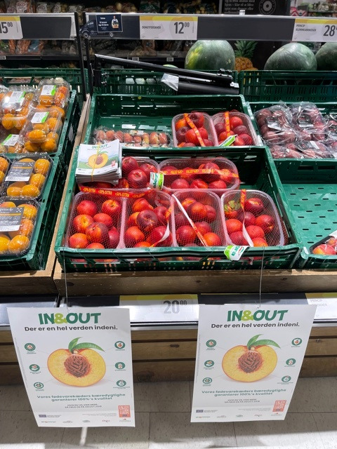 IN&OUT, in prima fila a Macfrut 2023