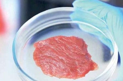 Carne sintetica: bene stop Senato per 3 italiani su 4