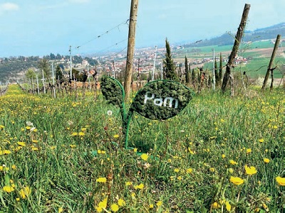 Pam Panorama per il sociale