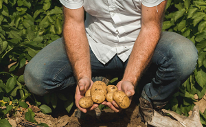 Agripat soddisfatta dei nuovi prezzi