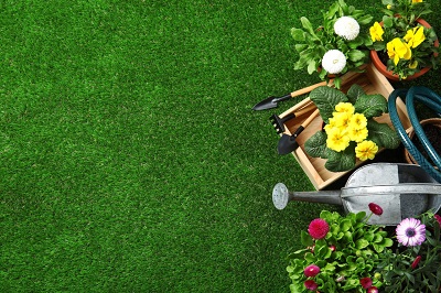 Blumen: più giardinaggio con Sipcam Oxon