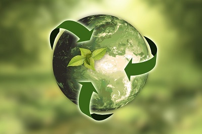 Chi dirige la sostenibilità?