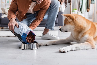 Il mondo dei pet non si arresta