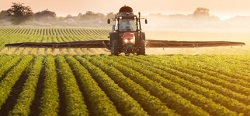 Stop all’uso del clorpirifos in Europa? L’Efsa boccia l'insetticida