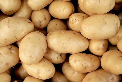 Patate:  produzione in aumento