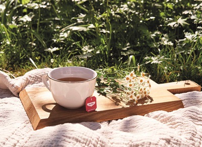 Yogi Tea: infusi di erbe e spezie, realizzati da ricette ispirate all’Ayurveda