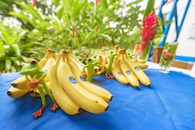 Chiquita presenta il Report di Sostenibilità 2024-2025