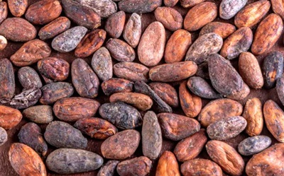 Cresce ancora il prezzo del cacao in Europa