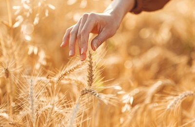 Consorzi Agrari d’Italia acquisisce la maggioranza di FederBio Servizi