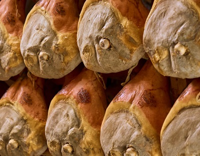 Il Prosciutto di Parma verso la  Transizione Ecologica