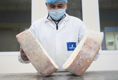 Gorgonzola DOP: produzione 2024 da record